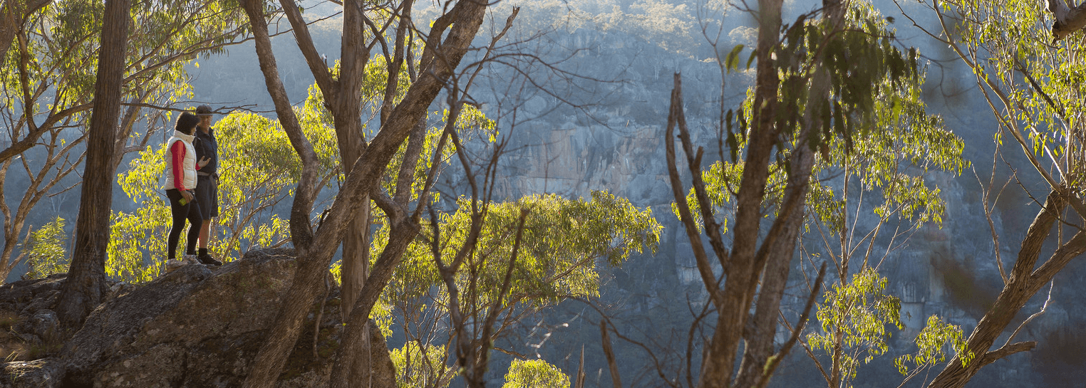 Two bushwalkers standing at a lookout point looking over a gorge in the New England National Park. 