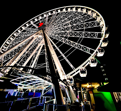 Yuggera Country (Brisbane, Qld) ©UNE/Shay Aitke