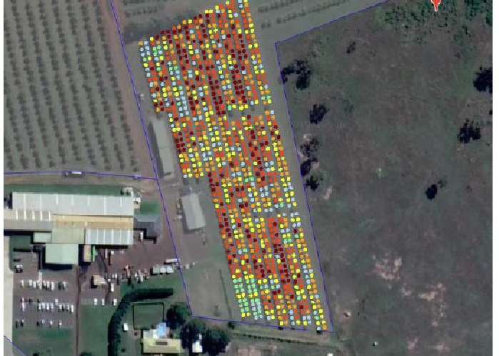 Fruit Yield Map 