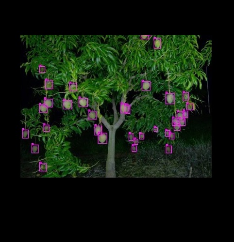 Machine Vision 