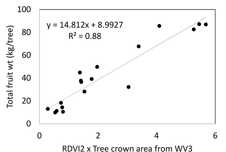 Yield and Canopy Reflectance 