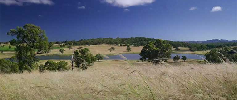 Tullimba Feedlot thumbnail