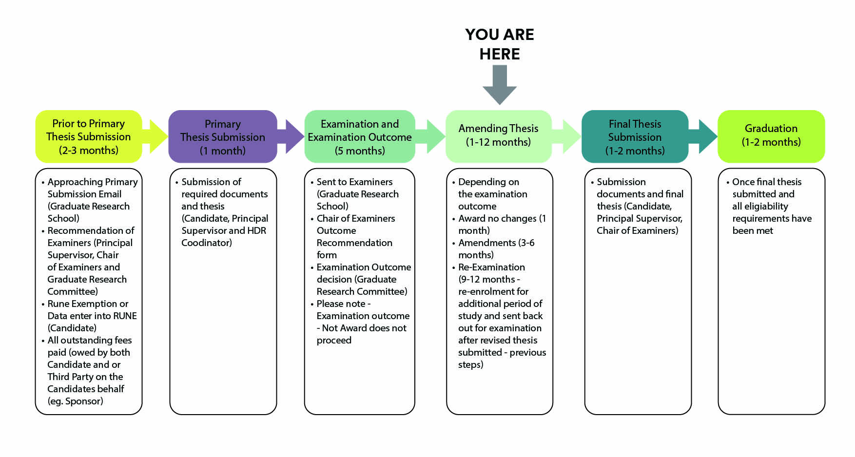 Examination and Outcomes - University of New England (UNE)