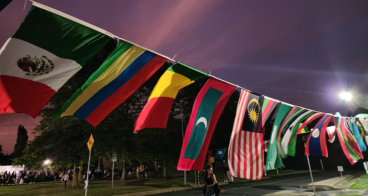 International flags