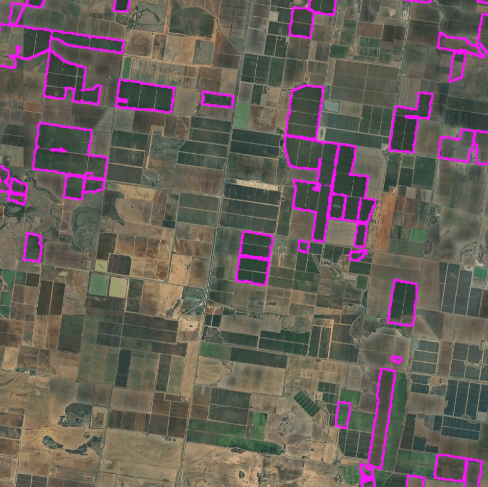 Vectorised rice field boundaries