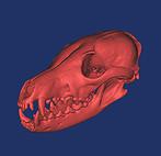 3D reconstructin