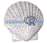 Geomorph logo